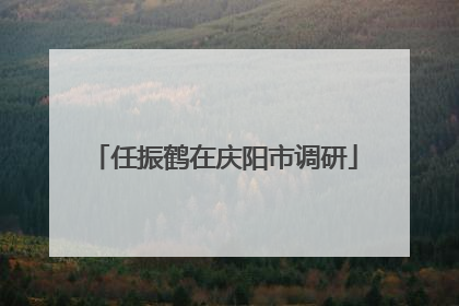 任振鹤在庆阳市调研