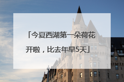 今夏西湖第一朵荷花开啦，比去年早5天