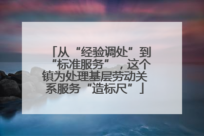 从“经验调处”到“标准服务”，这个镇为处理基层劳动关系服务“造标尺”