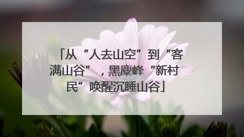 从“人去山空”到“客满山谷”，黑麋峰“新村民”唤醒沉睡山谷