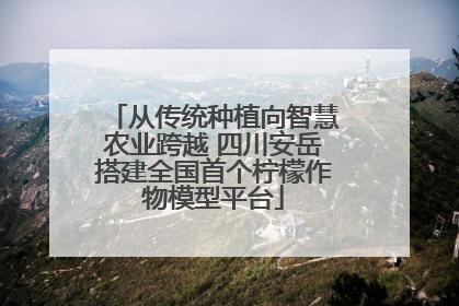 从传统种植向智慧农业跨越 四川安岳搭建全国首个柠檬作物模型平台