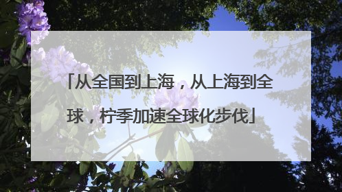 从全国到上海，从上海到全球，柠季加速全球化步伐