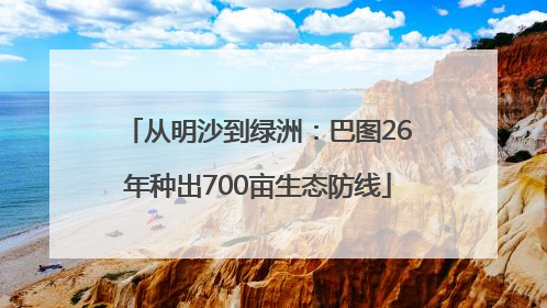 从明沙到绿洲：巴图26年种出700亩生态防线