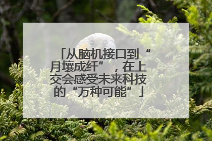 从脑机接口到“月壤成纤”，在上交会感受未来科技的“万种可能”