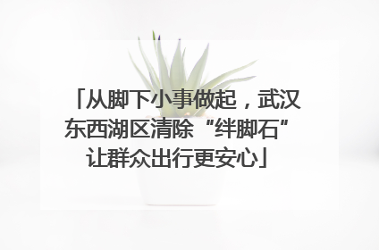 从脚下小事做起，武汉东西湖区清除“绊脚石”让群众出行更安心