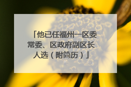 他已任福州一区委常委、区政府副区长人选（附简历）