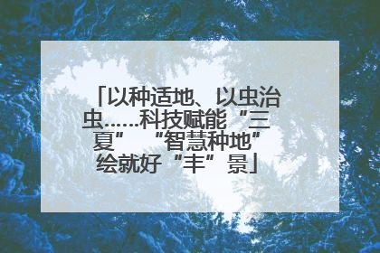 以种适地、以虫治虫……科技赋能“三夏” “智慧种地”绘就好“丰”景