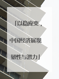 以稳应变，中国经济展现韧性与潜力