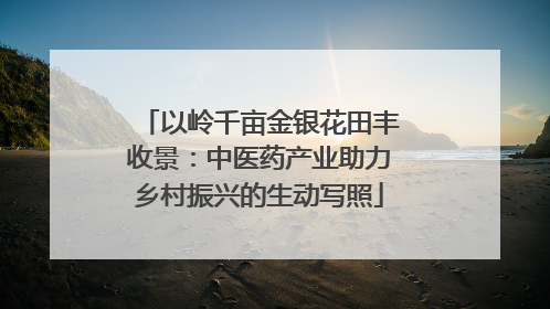 以岭千亩金银花田丰收景：中医药产业助力乡村振兴的生动写照