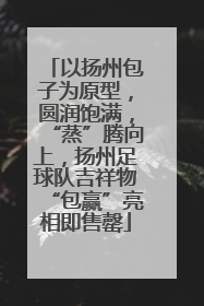 以扬州包子为原型，圆润饱满，“蒸”腾向上，扬州足球队吉祥物“包赢”亮相即售罄