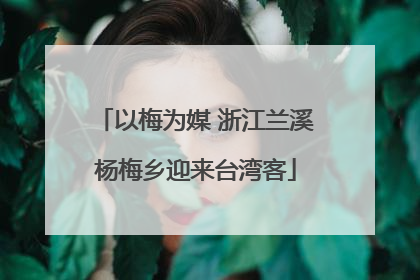 以梅为媒 浙江兰溪杨梅乡迎来台湾客