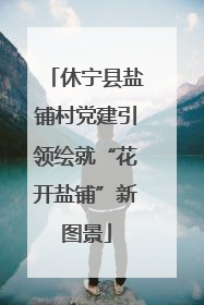 休宁县盐铺村党建引领绘就“花开盐铺”新图景