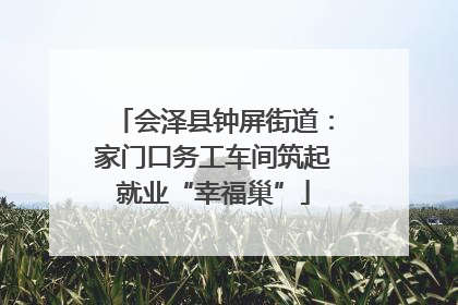 会泽县钟屏街道：家门口务工车间筑起就业“幸福巢”