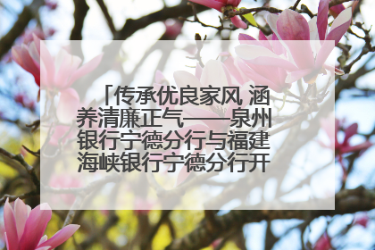 传承优良家风 涵养清廉正气——泉州银行宁德分行与福建海峡银行宁德分行开展主题党日活动
