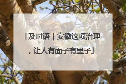 及时语｜安徽这项治理，让人有面子有里子