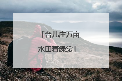 台儿庄万亩水田着绿裳