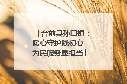 台前县孙口镇：暖心守护践初心 为民服务显担当