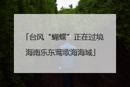 台风“蝴蝶”正在过境海南乐东莺歌海海域
