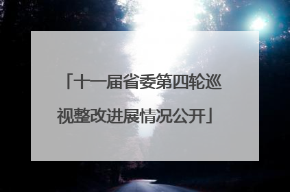 十一届省委第四轮巡视整改进展情况公开