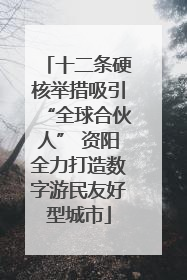 十二条硬核举措吸引“全球合伙人” 资阳全力打造数字游民友好型城市
