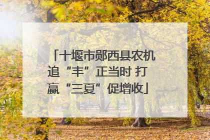 十堰市郧西县农机追“丰”正当时 打赢“三夏”促增收