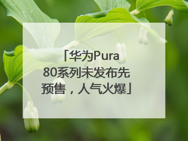 华为Pura 80系列未发布先预售，人气火爆