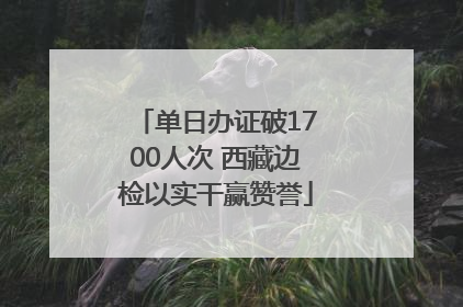 单日办证破1700人次 西藏边检以实干赢赞誉