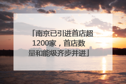 南京已引进首店超1200家，首店数量和能级齐步并进