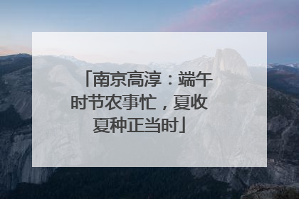 南京高淳：端午时节农事忙，夏收夏种正当时