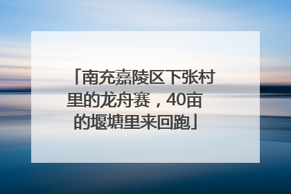 南充嘉陵区下张村里的龙舟赛，40亩的堰塘里来回跑