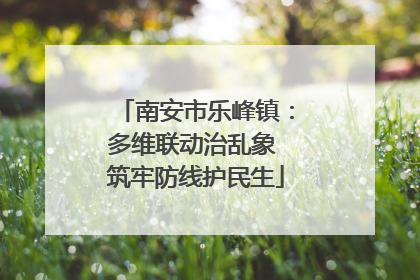 南安市乐峰镇：多维联动治乱象 筑牢防线护民生
