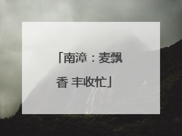 南漳：麦飘香 丰收忙