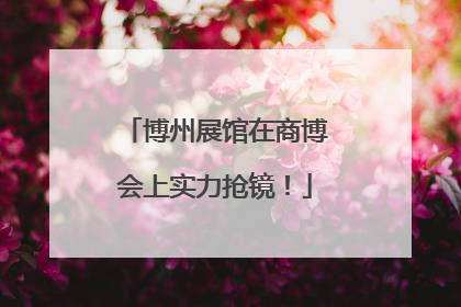 博州展馆在商博会上实力抢镜！