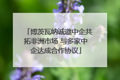 博茨瓦纳诚邀中企共拓非洲市场 与多家中企达成合作协议