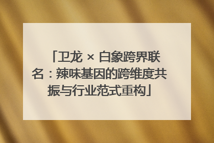 卫龙 × 白象跨界联名：辣味基因的跨维度共振与行业范式重构