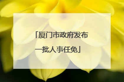 厦门市政府发布一批人事任免