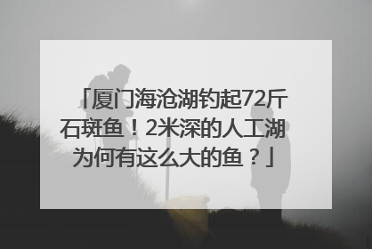 厦门海沧湖钓起72斤石斑鱼！2米深的人工湖为何有这么大的鱼？
