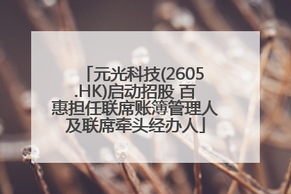 元光科技(2605.HK)启动招股 百惠担任联席账簿管理人及联席牵头经办人