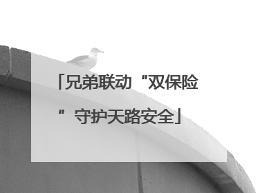 兄弟联动“双保险”守护天路安全