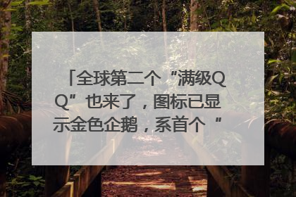 全球第二个“满级QQ”也来了，图标已显示金色企鹅，系首个“满级QQ”的小号