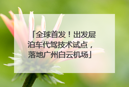 全球首发！出发层泊车代驾技术试点，落地广州白云机场