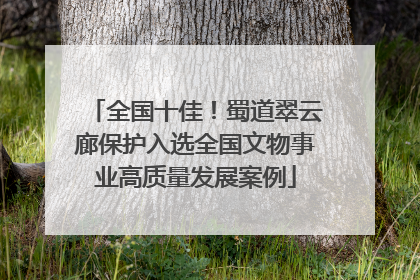 全国十佳！蜀道翠云廊保护入选全国文物事业高质量发展案例