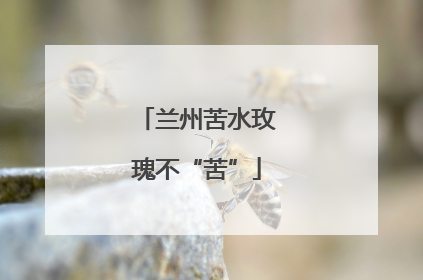 兰州苦水玫瑰不“苦”