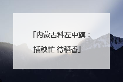 内蒙古科左中旗：插秧忙 待稻香