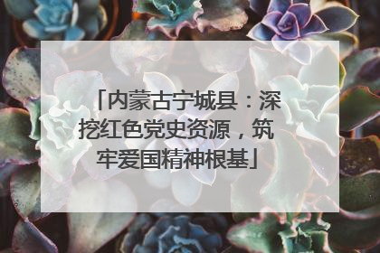 内蒙古宁城县：深挖红色党史资源，筑牢爱国精神根基