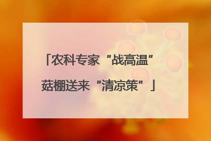 农科专家“战高温” 菇棚送来“清凉策”