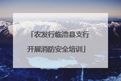 农发行临澧县支行开展消防安全培训