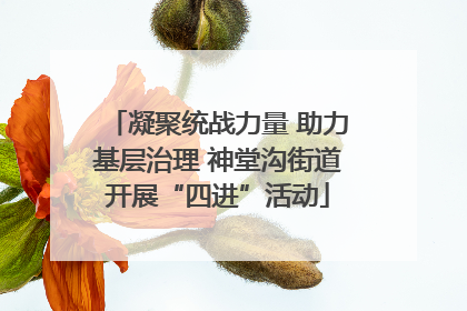 凝聚统战力量 助力基层治理 神堂沟街道开展“四进”活动