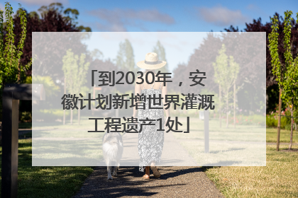 到2030年，安徽计划新增世界灌溉工程遗产1处
