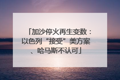 加沙停火再生变数：以色列“接受”美方案、哈马斯不认可